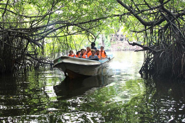 Amazing Sri Lanka