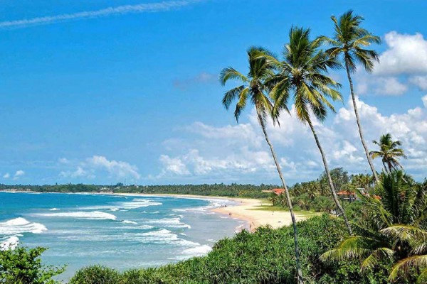 Discover Sri Lanka