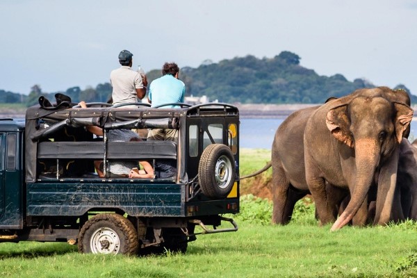 Thrilling Sri Lanka