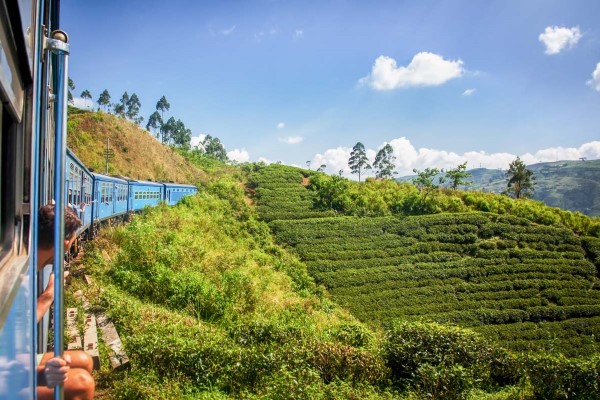 Discover Sri Lanka