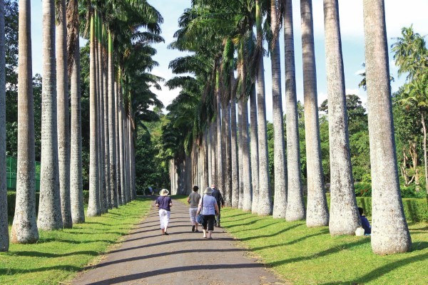 Thrilling Sri Lanka